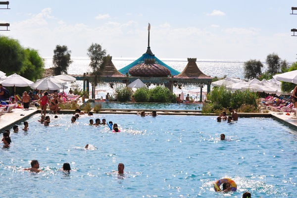 Edde Sands on Sunday